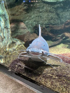 サンシャイン水族館に投稿された画像（2020/9/26）