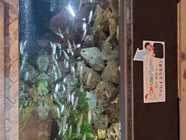 四国水族館に投稿された画像（2020/9/26）