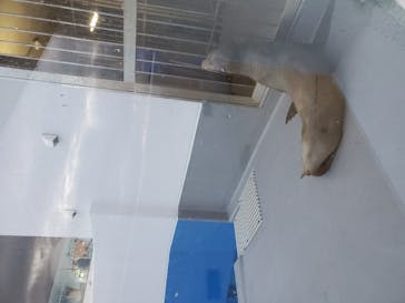 四国水族館に投稿された画像（2020/9/26）