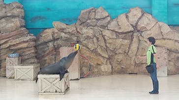 鳥羽水族館に投稿された画像（2020/9/26）