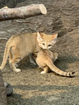 那須どうぶつ王国に投稿された画像（2020/9/26）