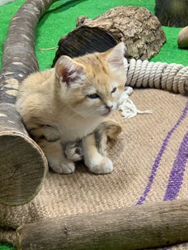 那須どうぶつ王国に投稿された画像（2020/9/26）