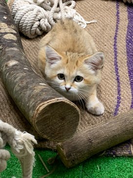 那須どうぶつ王国に投稿された画像（2020/9/26）