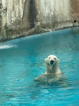 天王寺動物園に投稿された画像（2020/9/26）