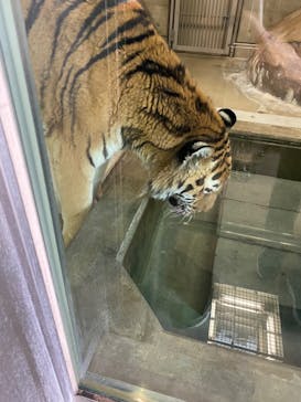 天王寺動物園に投稿された画像（2020/9/26）