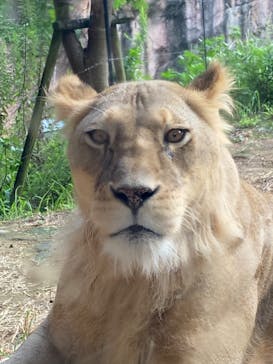 天王寺動物園に投稿された画像（2020/9/26）