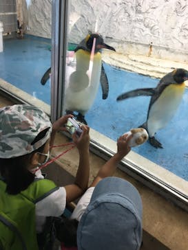 天王寺動物園に投稿された画像（2020/9/26）