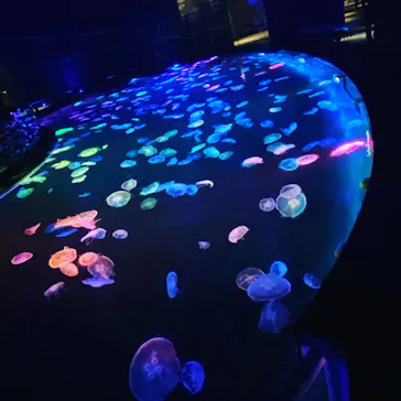 すみだ水族館に投稿された画像（2020/9/26）