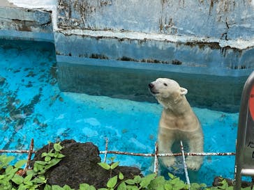 天王寺動物園に投稿された画像（2020/9/26）
