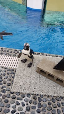 四国水族館に投稿された画像（2020/9/26）