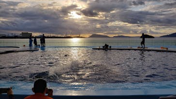 四国水族館に投稿された画像（2020/9/26）