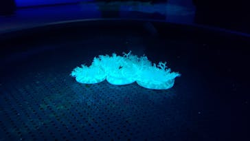 四国水族館に投稿された画像（2020/9/26）