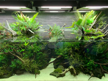 すみだ水族館に投稿された画像（2020/9/26）