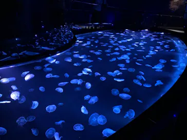 すみだ水族館に投稿された画像（2020/9/26）