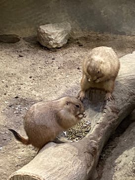 神戸どうぶつ王国に投稿された画像（2020/9/26）