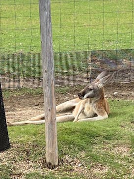 神戸どうぶつ王国に投稿された画像（2020/9/26）