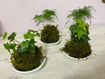 Florilege（フロリレージュ）に投稿された画像（2020/9/26）