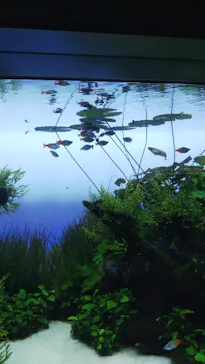 すみだ水族館に投稿された画像（2020/9/26）