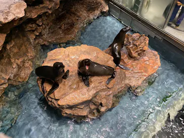 すみだ水族館に投稿された画像（2020/9/26）