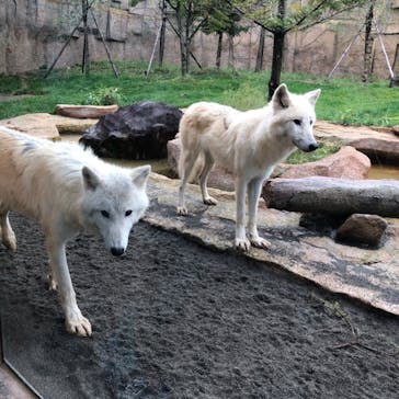 那須どうぶつ王国に投稿された画像（2020/9/26）