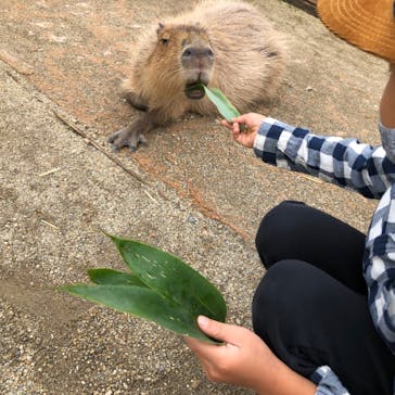那須どうぶつ王国に投稿された画像（2020/9/26）