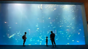 四国水族館に投稿された画像（2020/9/26）
