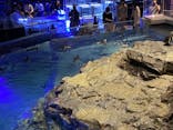 すみだ水族館に投稿された画像（2020/9/26）