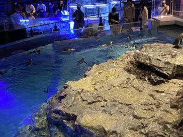 すみだ水族館に投稿された画像（2020/9/26）