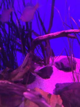 サンシャイン水族館に投稿された画像（2020/9/26）