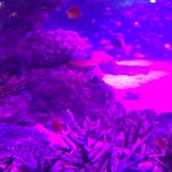 サンシャイン水族館に投稿された画像（2020/9/26）