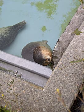 旭川市旭山動物園に投稿された画像（2020/9/26）