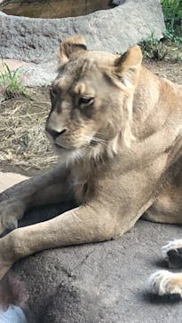 天王寺動物園に投稿された画像（2020/9/26）
