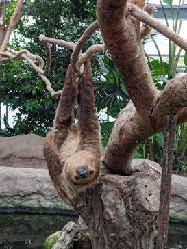 神戸どうぶつ王国に投稿された画像（2020/9/26）
