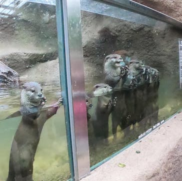 神戸どうぶつ王国に投稿された画像（2020/9/26）