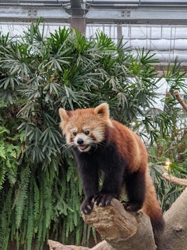 神戸どうぶつ王国に投稿された画像（2020/9/26）