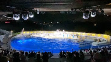 京都水族館に投稿された画像（2020/9/26）