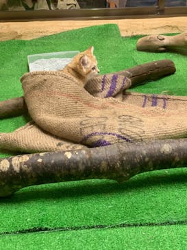 那須どうぶつ王国に投稿された画像（2020/9/26）