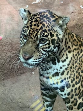 那須どうぶつ王国に投稿された画像（2020/9/26）