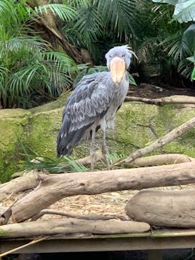 那須どうぶつ王国に投稿された画像（2020/9/26）