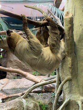 那須どうぶつ王国に投稿された画像（2020/9/26）