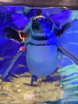 すみだ水族館に投稿された画像（2020/9/26）