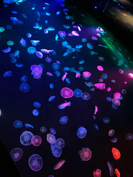 すみだ水族館に投稿された画像（2020/9/26）