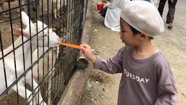 しろとり動物園に投稿された画像（2020/9/27）