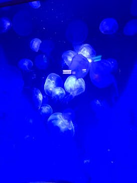 株式会社Gに投稿された画像（2020/9/27）