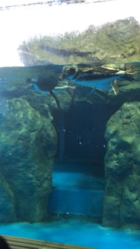 株式会社Gに投稿された画像（2020/9/27）