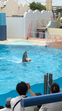 株式会社Gに投稿された画像（2020/9/27）