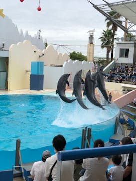 株式会社Gに投稿された画像（2020/9/27）