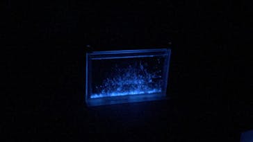 南知多ビーチランド＆南知多おもちゃ王国に投稿された画像（2020/9/27）