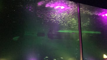 南知多ビーチランド＆南知多おもちゃ王国に投稿された画像（2020/9/27）