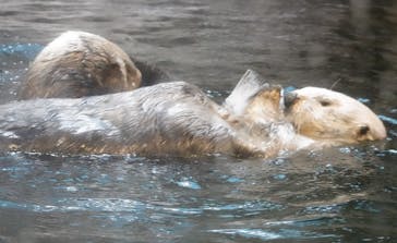 株式会社Gに投稿された画像（2020/9/27）